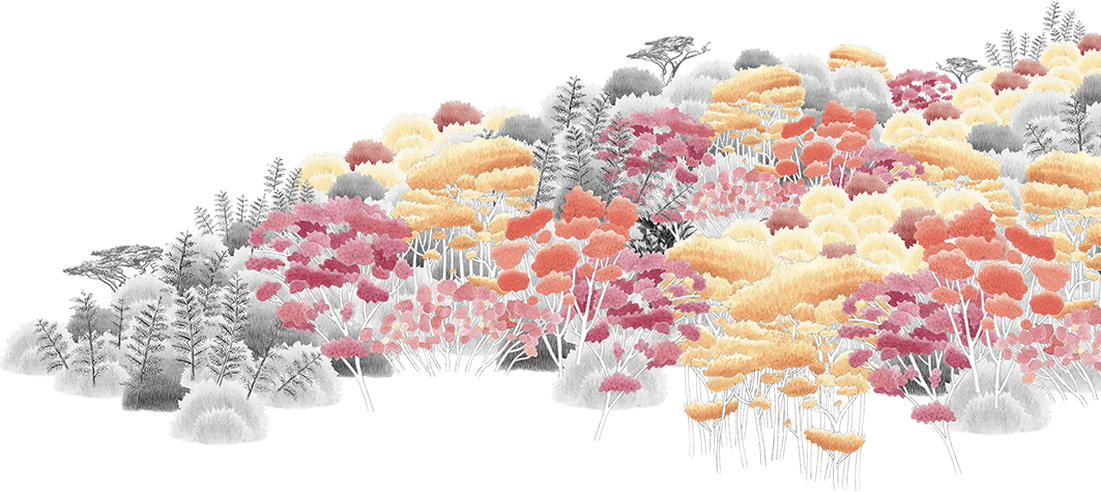 國泰13期